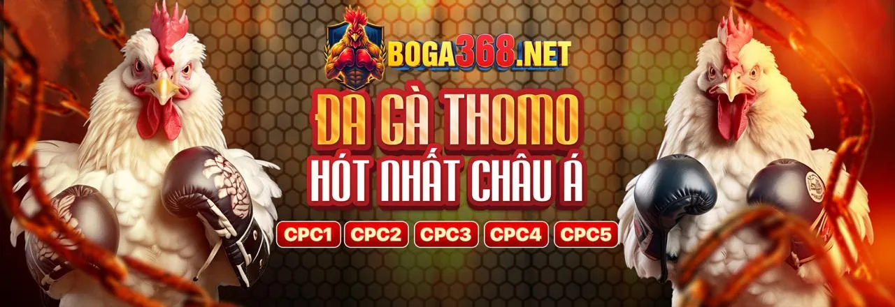 Phương thức thanh toán an toàn tại s6s666 link vào